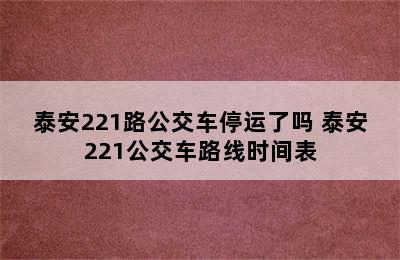 泰安221路公交车停运了吗 泰安221公交车路线时间表